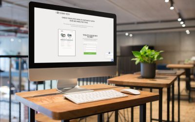How To Capture and Nurture Leads From Your Website